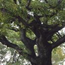 평사리주유소 이미지