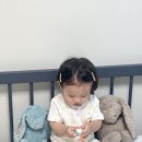 한스팜네이처 네이버블로그