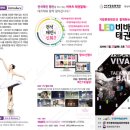 비바츠LED 태권발레 이미지