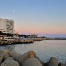 청파장횟집 이미지