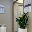 공감마취통증의학과의원 이미지