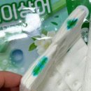 에코리멤버 : 효과적인 화장실 청소 ! 깜찍이상어 변기클리너 솔직후기