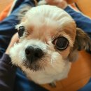 24시 당신의 동물의료센터 이미지