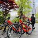 부산자전거강습 “꿈을 만들어주는 안전한 자전거타기 교육“ 🔅 This is my bike. 이미지