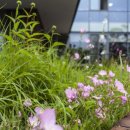 우리마음병원 이미지