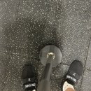 노박의원 | <사물은 어떤 꿈을 꾸는가> 서울전시_국립현대미술관 서울관/ <러브 라이즈 블러딩> 영화 후기