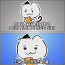 요거팡 네이버블로그