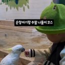 순창앵무새팜