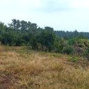 돌집민박 이미지