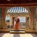 한국불교치악산관음사 | 합천 해인사&amp; 제주 관음사 템플스테이