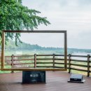 은행나무사거리1 이미지