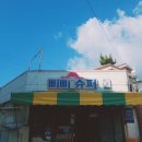 블랑 게스트하우스 | 혼자 떠난 11월 가을 제주도 6박 7일_ Day 4 (제주도 서귀포,중간쪽,동쪽 코스)