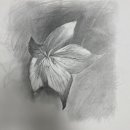 신사문화센터 이미지