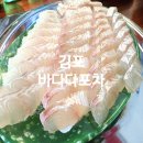 다포횟집 | 김포 구래동 횟집 아이랑 가기 좋은 바다다포차 광어회 후기