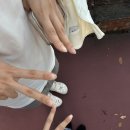 마이리틀펫 이미지