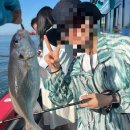 금강산아나고 | [인천 배낚시 추천] 낚시 완전 잘 되는 ✨해광유선✨ 백조기 낚시 후기