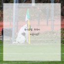 더추나한의원 네이버블로그