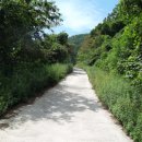 봉수면사무소 이미지