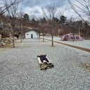 나는 코딩왕 | 3월일상 (1)ㅣ바이브코딩 기분 트래킹 앱만들기, 넷플릭스 월간남친 후기