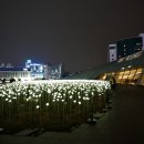 동대문 이미지