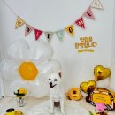 일리키독 이미지