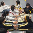 JC태권도장 이미지