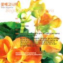 [실내공기정화식물] 꽃베고니아 Wax begonia 이미지