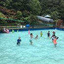 금강태권도 효교육관 이미지