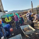 봉전1리 이미지