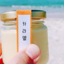 시도푸딩 이미지