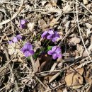 당곡2로 이미지