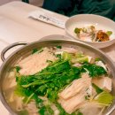 제주복어 이미지