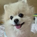 네이쳐스키 | 네이쳐스키 오메가 조인트 2차 후기 💛