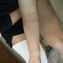 새솔외과의원 이미지