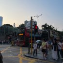 홍콩 경유 여행｜캐세이퍼시픽 후기 + 딤딤섬 맛집 + 빅토리아 하버 야경