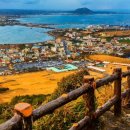 제주도 푸른밤 이미지