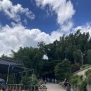 범어사로 | 🔥 부산 금정산 최단코스 + 금샘까지 (범어사 출발 2~3시간 코스)