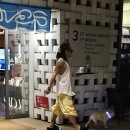 프불하우스 | 도쿄여행 - 다이칸야마 츠타야 쉐어라운지 현대카드 제휴서비스 이용 후기 (츠타야서점 2층)