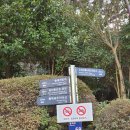 누리힐링하우스 | 부산 무료 가볼만한곳 동백공원 누리마루APEC하우스