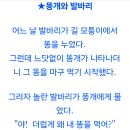 똥개 식사 이미지