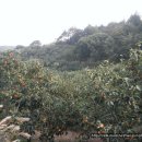 학송농장 이미지