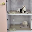 이쁘다 멍 이미지