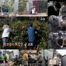 포텐커피