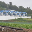 자은의 언덕 이미지