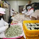 포동청년회영농조합법인 이미지