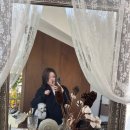 홍 스튜디오(Hong Studio) | 서울 송파 반려동물 프로필, 가장 빛나는 순간을 담는 잇츠미 스튜디오 개족사진 촬영후기