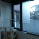 포레스트 캣호텔 이미지