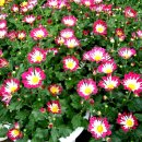 내곡동407 이미지