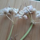 다해팩토리 이미지