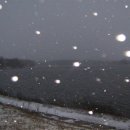 사뿐사뿐 이미지